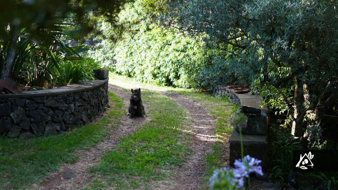 Quinta Do Paraiso Porto Martins Eksteriør billede