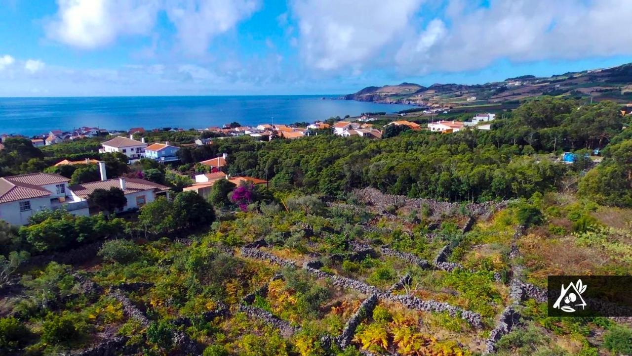 Quinta Do Paraiso Porto Martins Eksteriør billede